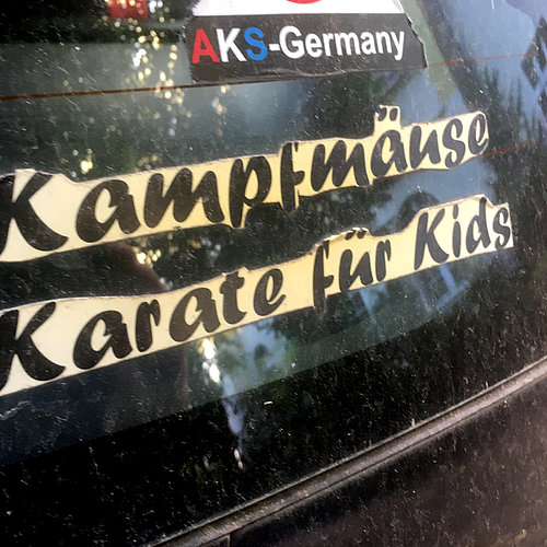 Kampfmäuse – Karate für Kids